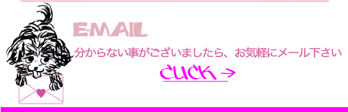 email(メールはコチラ)