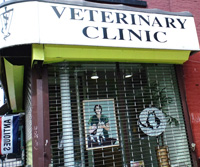 NYC Vet.