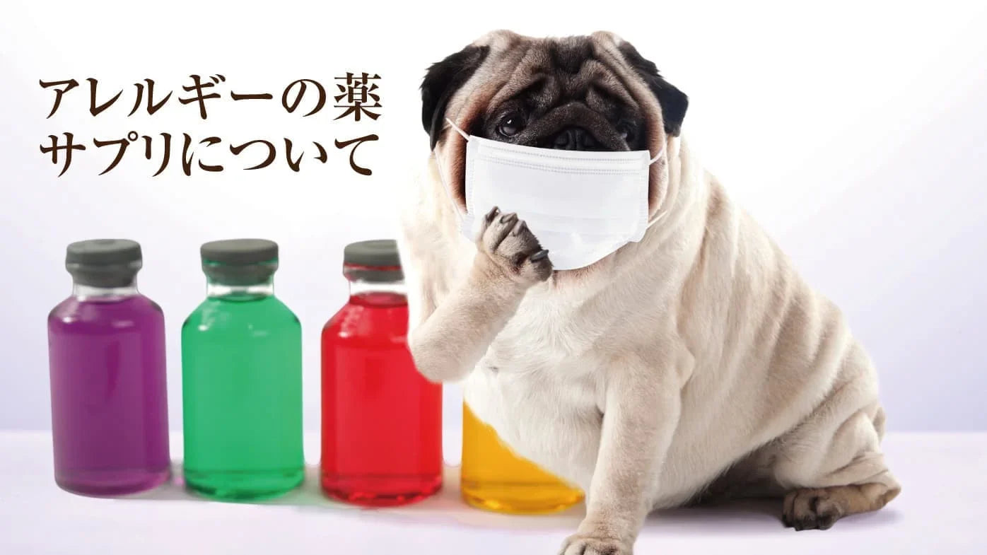犬のアレルギー薬・サプリに関して|アレルギーの薬・サプリはどうなの？
