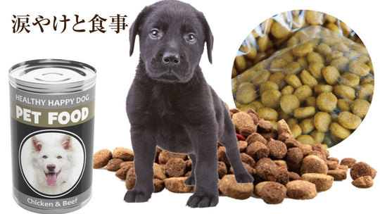 犬の涙やけと食事の関係|涙やけのフード・サプリはどうなの？
